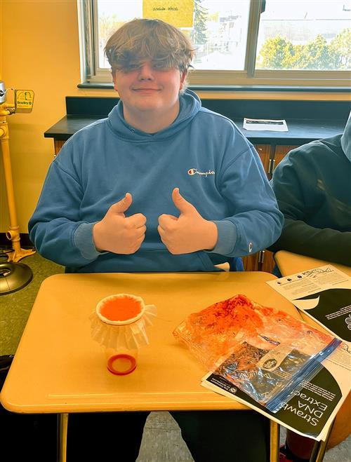 10th Grade Strawberry DNA Lab student