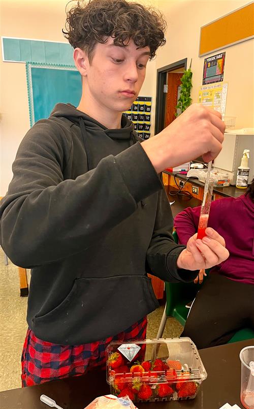 10th Grade Strawberry DNA Lab student extracting fluid