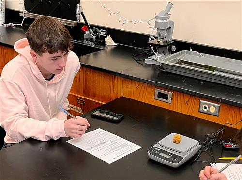 Zoology investigative lab student working