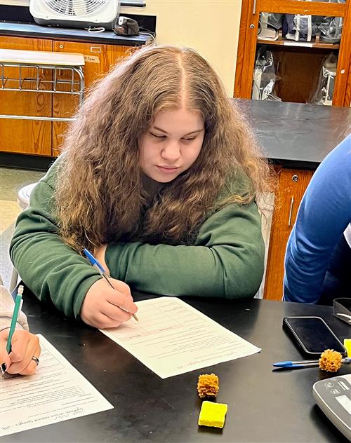 Zoology investigative lab student working